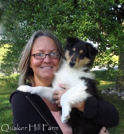 Tri color rough collie dog at Quaker Hill Farm