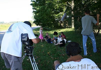 Collie pups playing with children at Quaker Farm